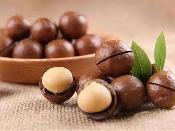 浅谈中国坚果行业的现状